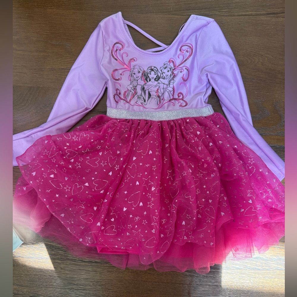 Disney Pink and Purple Princess Dance Costume